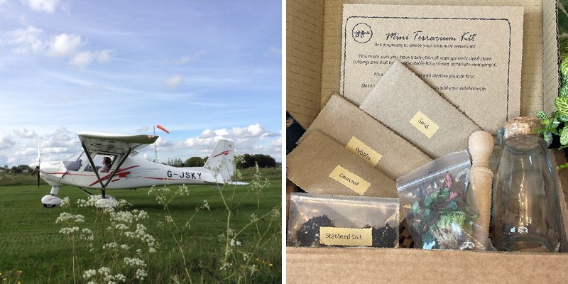 A small plane in flight and a terrarium kit
