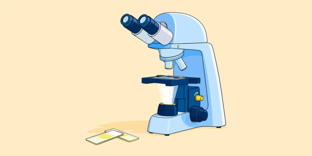 An illustration of a microscope with samples lying to the side