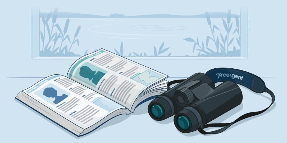 Illustration of binoculars and guide book sitting within a bird watching cabin. The guide book shows information on client types.