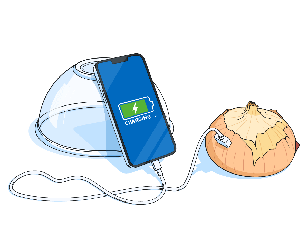 Phone charger plugged in to an onion.